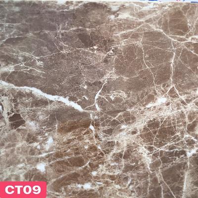 Tấm ốp tường nhựa CT09